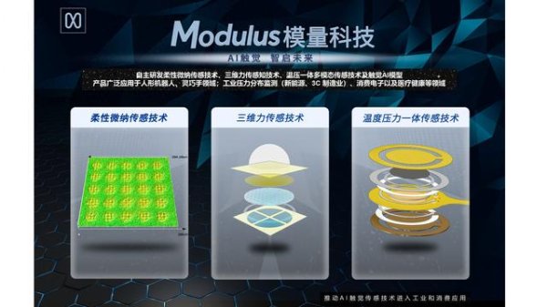 专业的网上股票配资 自研多模态触觉传感技术, 「模量科技」获千万级天使轮融资 | 36氪首发