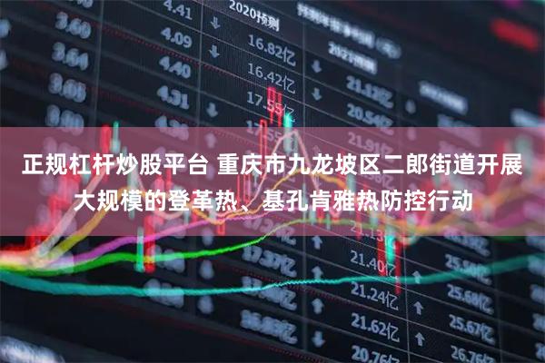 正规杠杆炒股平台 重庆市九龙坡区二郎街道开展大规模的登革热、基孔肯雅热防控行动