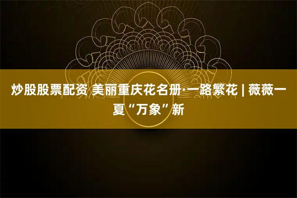 炒股股票配资 美丽重庆花名册·一路繁花 | 薇薇一夏“万象”新